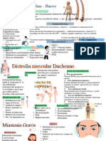 Pediatria Rotacion