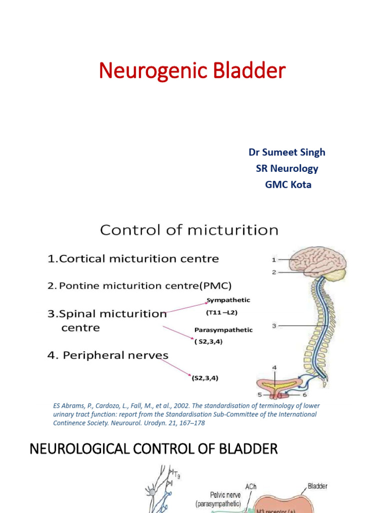Precipitancy in Neurogenic Bladder | PDF | Urinary Incontinence | Urination