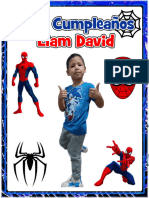 Afiche Spyderman