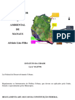 1 Plano Diretor Manaus Metropole Regional
