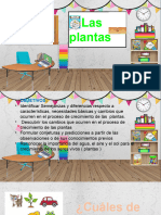 Clase 5 de Agosto Las PlANTAS