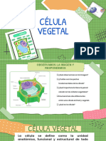 La Celula Vegetal - Septimo - Presentacion
