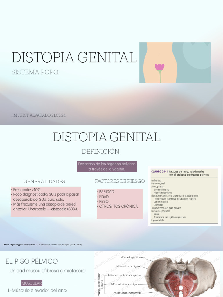 Prolapso Genital y Sistema POP-Q | PDF | Pelvis