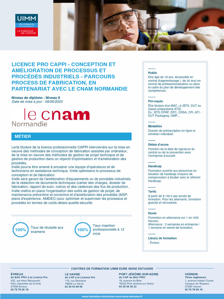Licence Pro CAPPI : Conception et Processus | PDF | Ingénieur