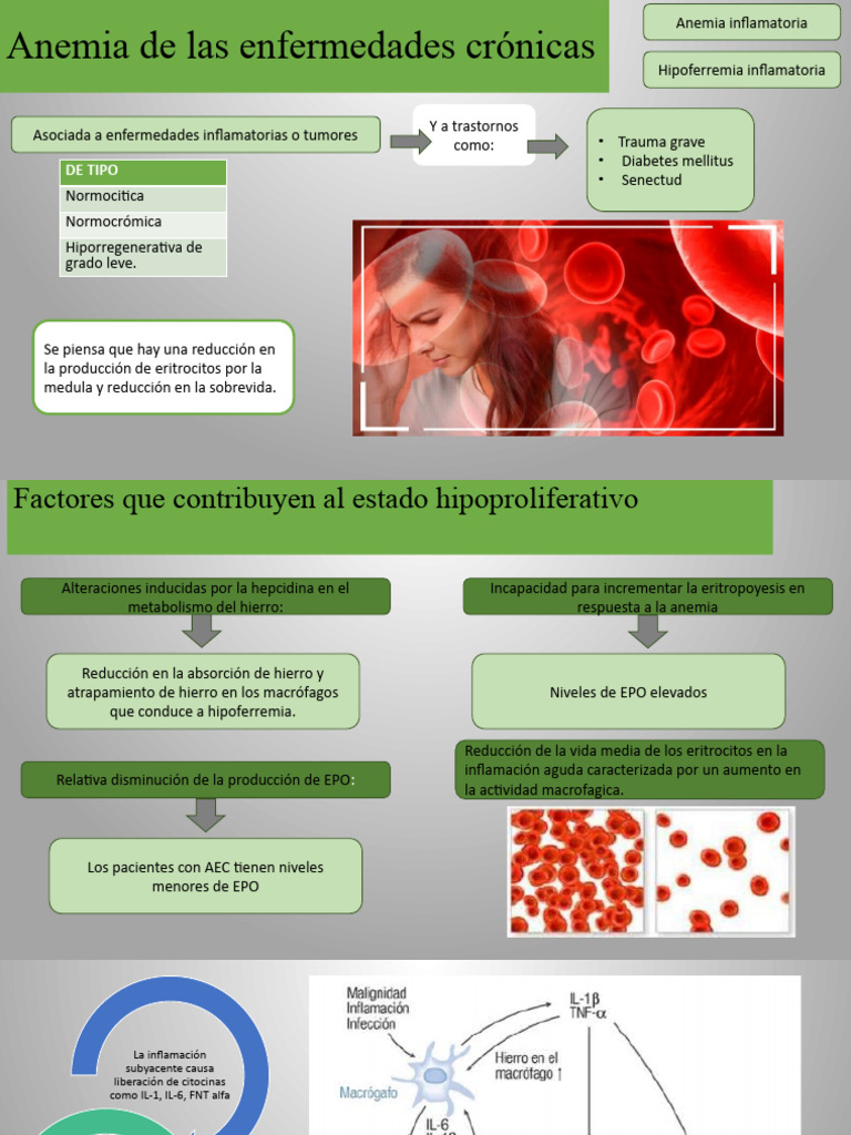 Anemia de Las Enfermedades Crónicas | PDF | Inflamación | Anemia