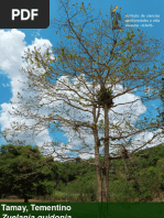 Caulote: Características y Usos | PDF | Hoja | Botánica