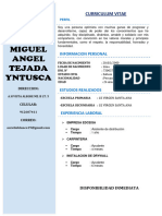 CV MIGUEL ANGEL TEJADA YNTUSCA