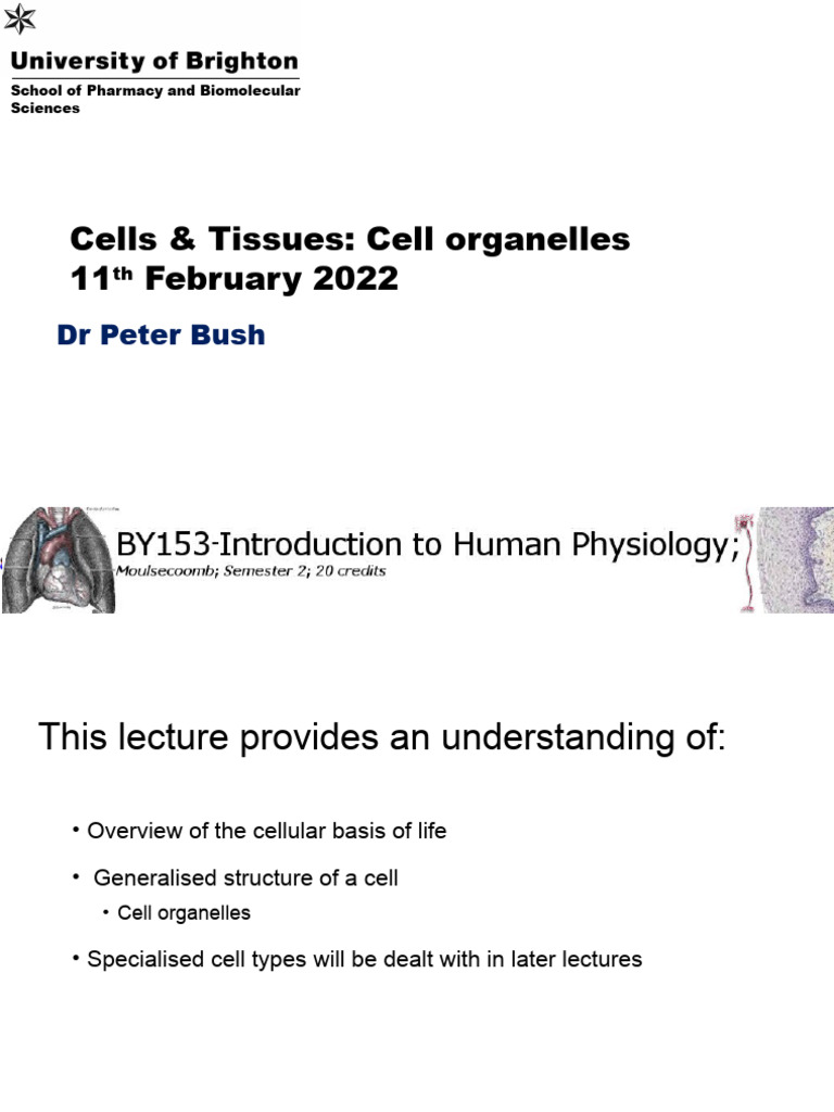 Understanding Cell Organelles and Functions | PDF | Endoplasmic ...