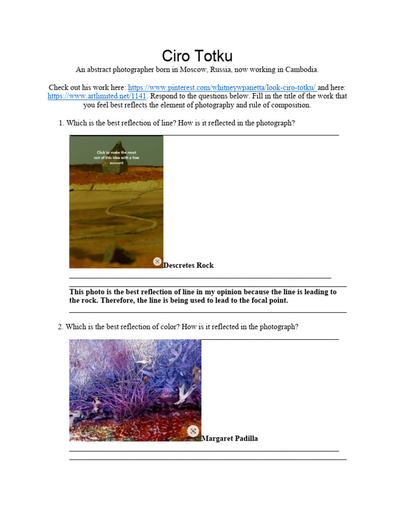 Larisha Louis Paul - 8-Ciro Totku Research Sheet | PDF | Photograph | Image