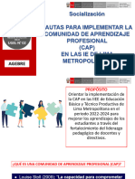 Pautas Cap 202