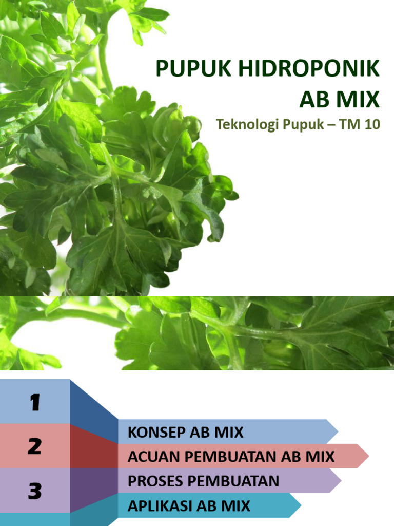 Racikan AB Mix untuk Hidroponik | PDF