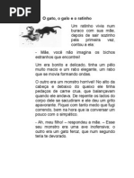 O gato