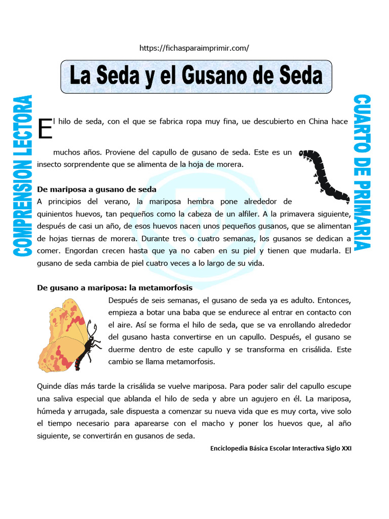 ficha-la-seda-y-el-gusano-de-seda-para-cuarto-de-primaria-pdf-seda