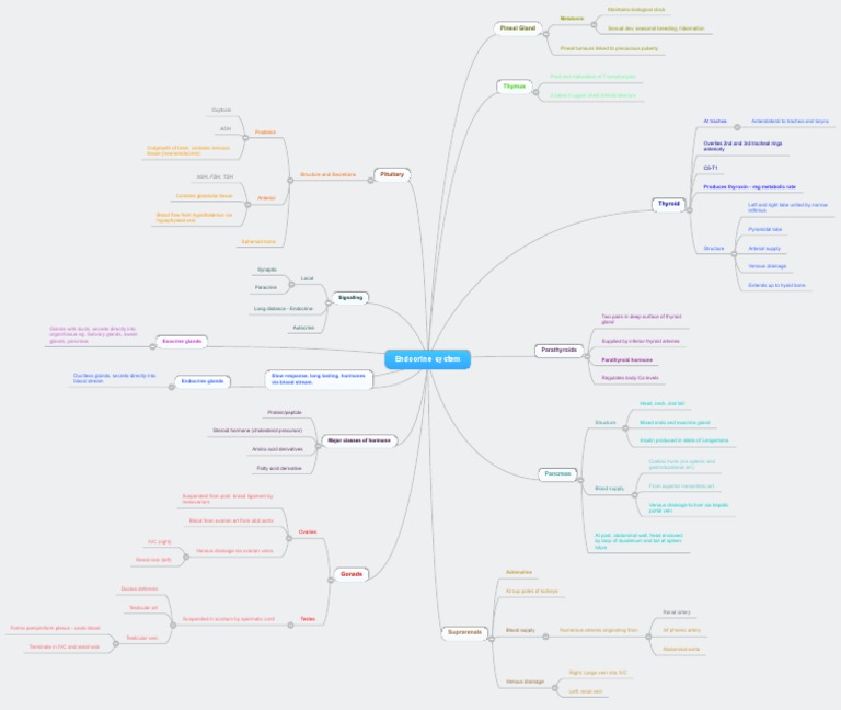 Overview of the Endocrine System | PDF