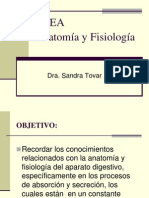 Anatomia y Fisiologia Diarreas