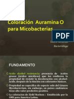 Coloración Auramina O para Micobacterias