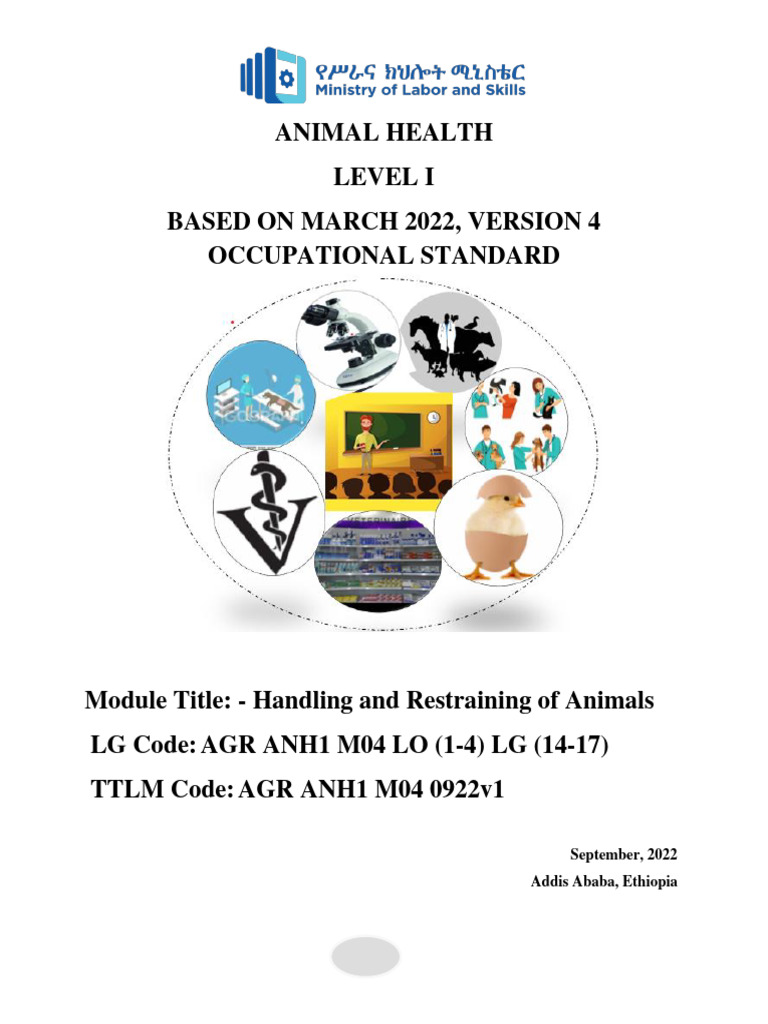 4 M Handling and Restraing | PDF | Sheep | Rabies