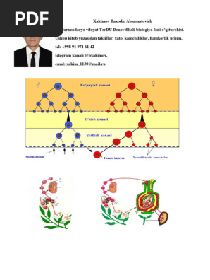 Tukli mushuklar bilan gozal qizlar