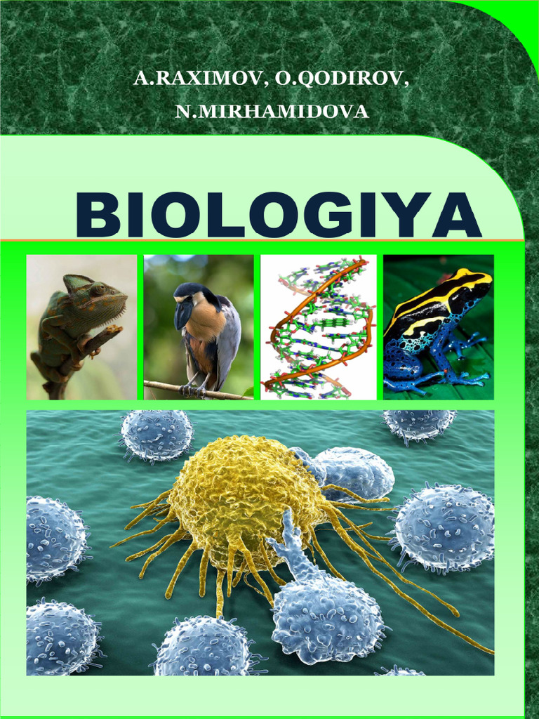 Jamoat transportida yapon ayolining haqiqiy hayotdagi jinsiy zoravonligi