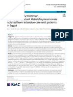 Genomic characterization of colistin-resistant Klebsiella pneumoniae isolated from intensive care unit patients in Egypt