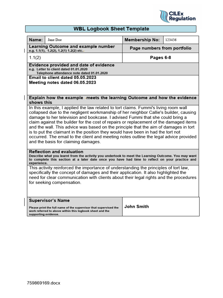 WBL Logbook Template for Legal Claims | PDF | Damages | Tort