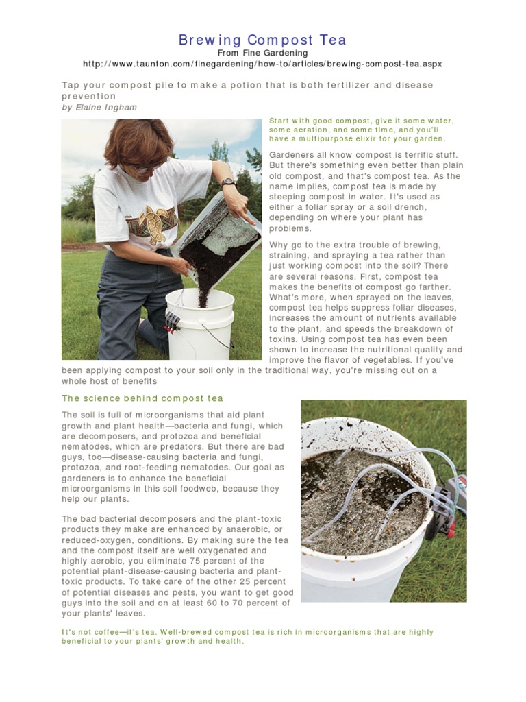 Brewing Compost Tea2 PDF Compost Plants
