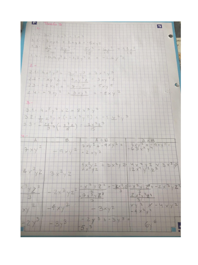 Ficha Matematica 8 Ano Monomios e Polinomios Solucoes | PDF