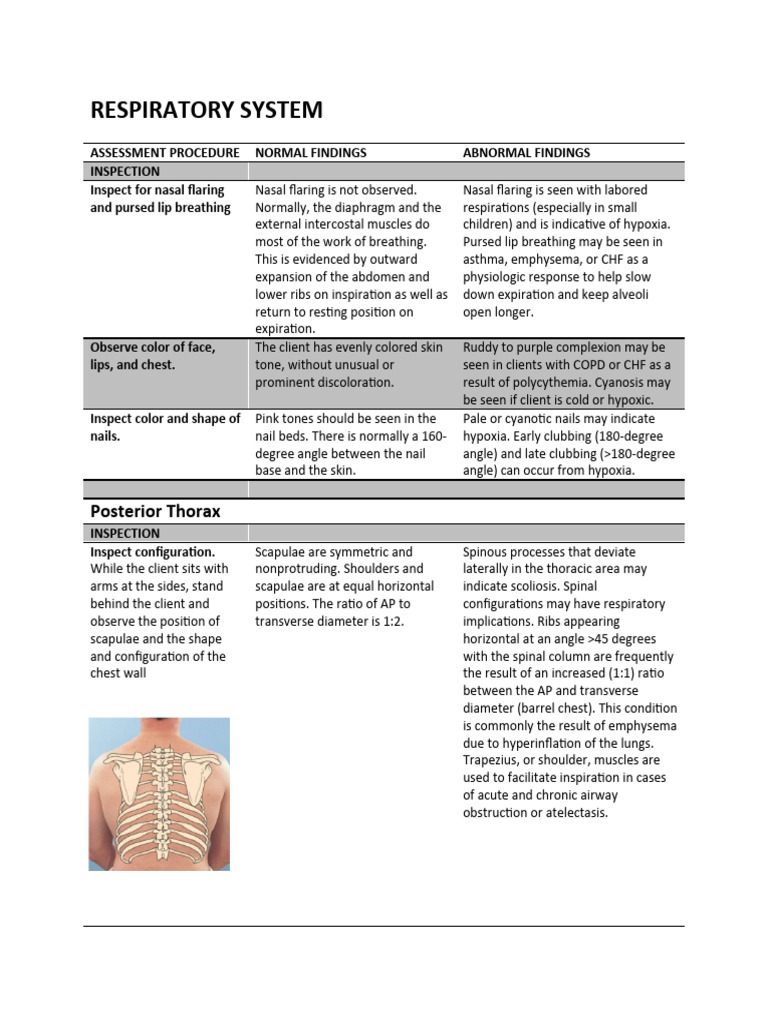 Respi and Cardio | PDF | Pulse | Heart