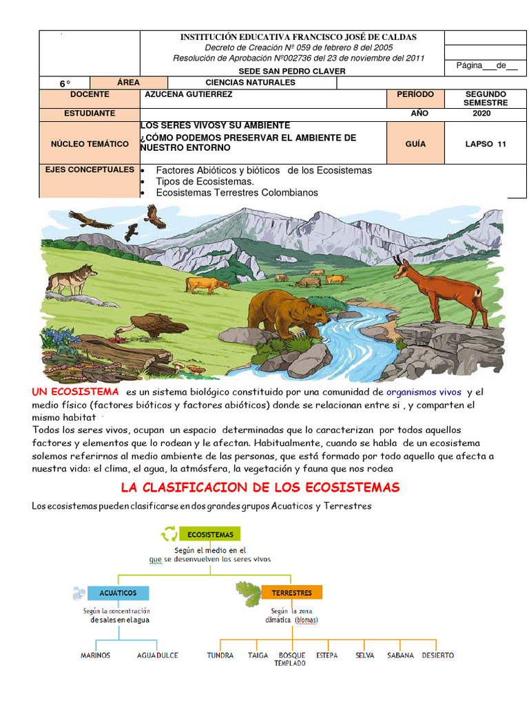 Tipos de Ecosistemas Terrestres | PDF | Ecosistema | Selva