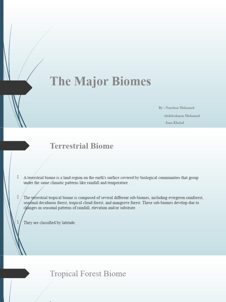 Overview of Major Terrestrial Biomes | PDF