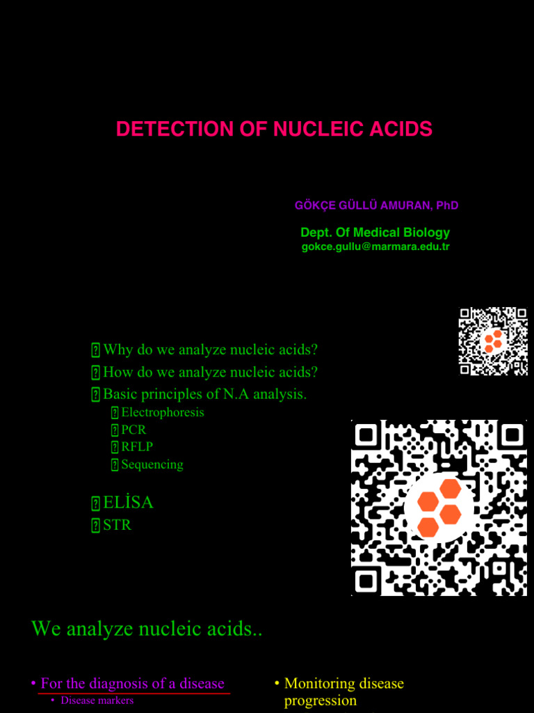Detection of Nucleic Acids GG 2023 | PDF