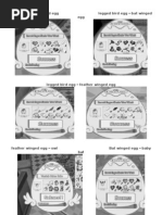 Evo Bird Egg (Gambar) Udh Print