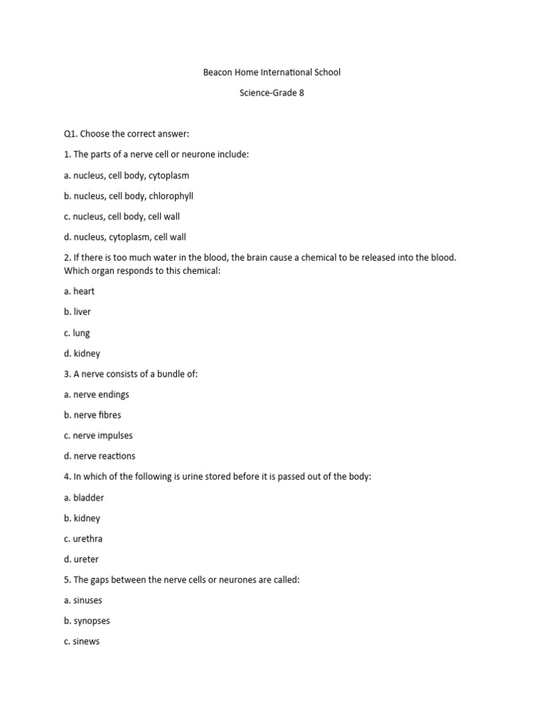 Grade 8 Science Nervous System Quiz Pdf Nerve Kidney