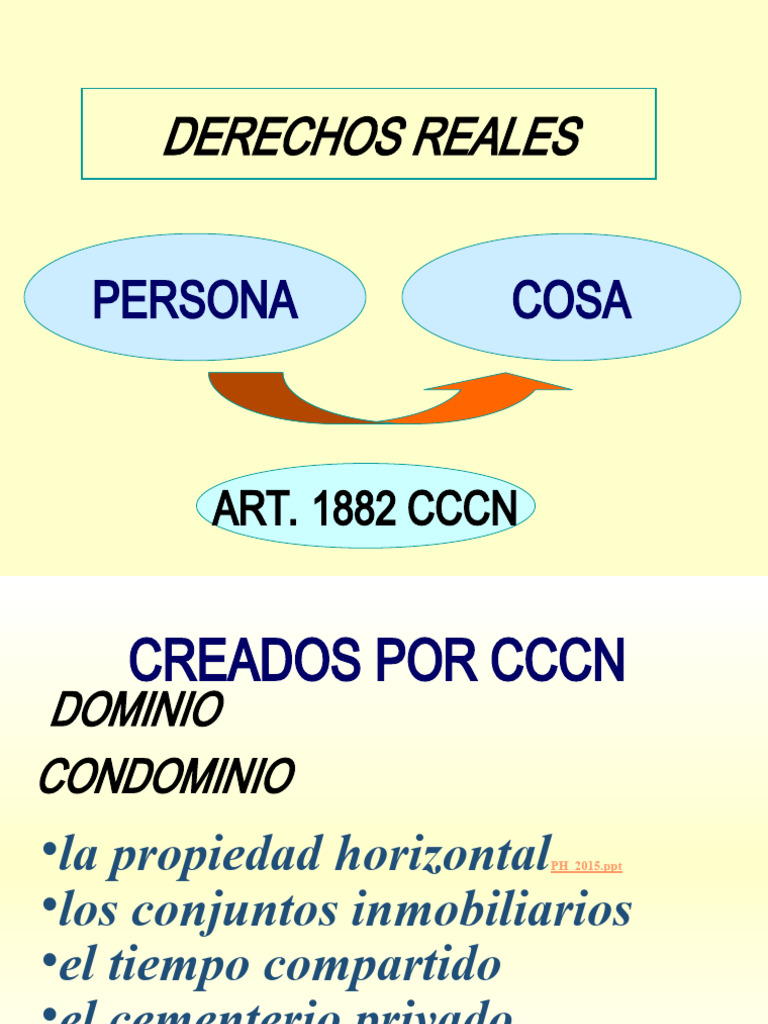Derechos Reales | PDF | Propiedad | Derecho civil (sistema legal)