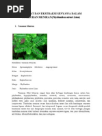 Download makalah meniran bennneeeeerrrrrrr by Nur Fatimah SN73803150 doc pdf