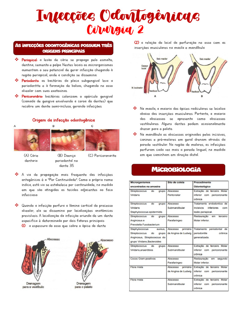 Infecções Odontogênicas: Causas e Tratamento | PDF | Infecção | Dente ...