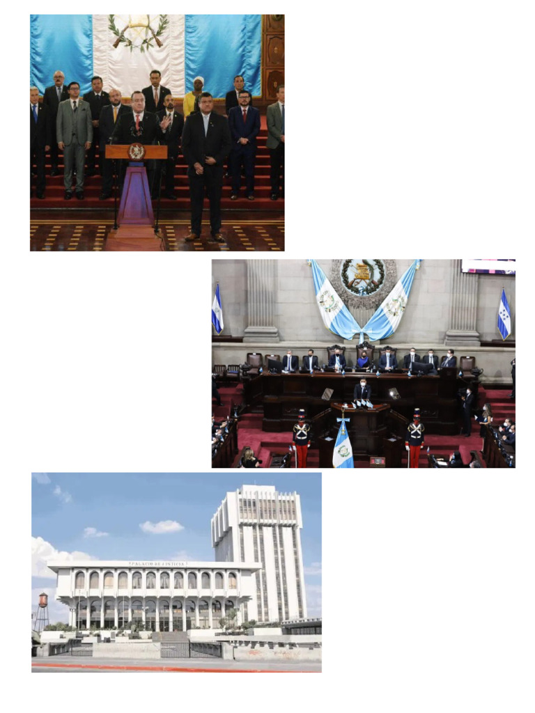 Organismos Del Estado PDF