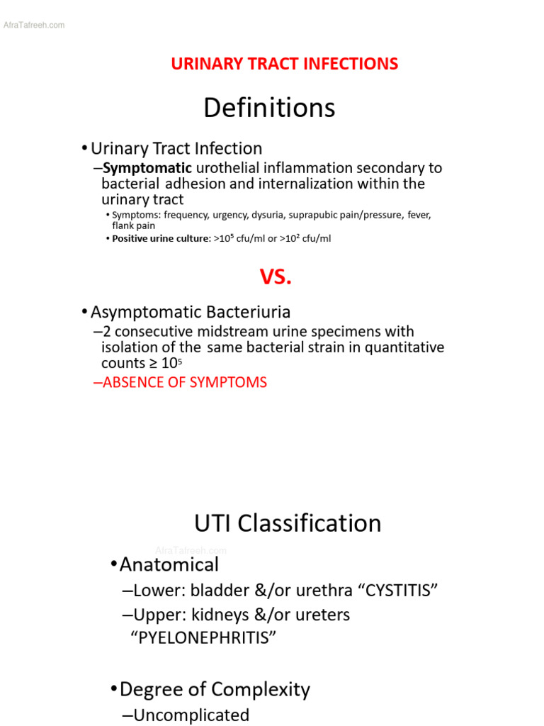 Understanding Urinary Tract Infections | PDF | Urinary Tract Infection ...
