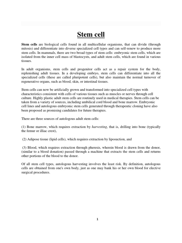 Understanding Stem Cells: Types and Properties | PDF | Stem Cell | Cell ...