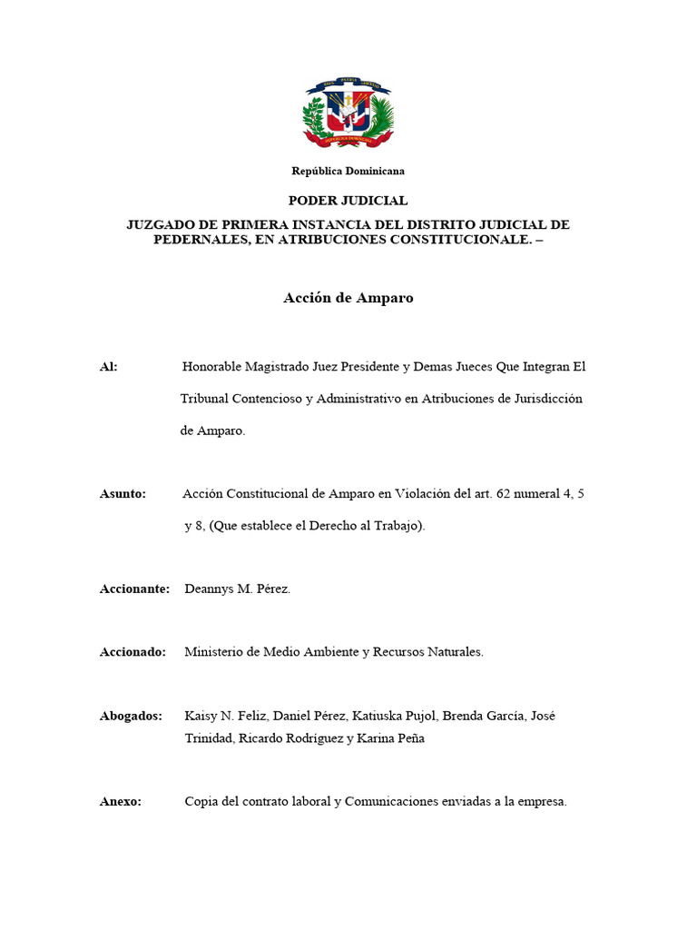 Accion de Amparo Actualizada. Work . | PDF | Habeas corpus | Justicia
