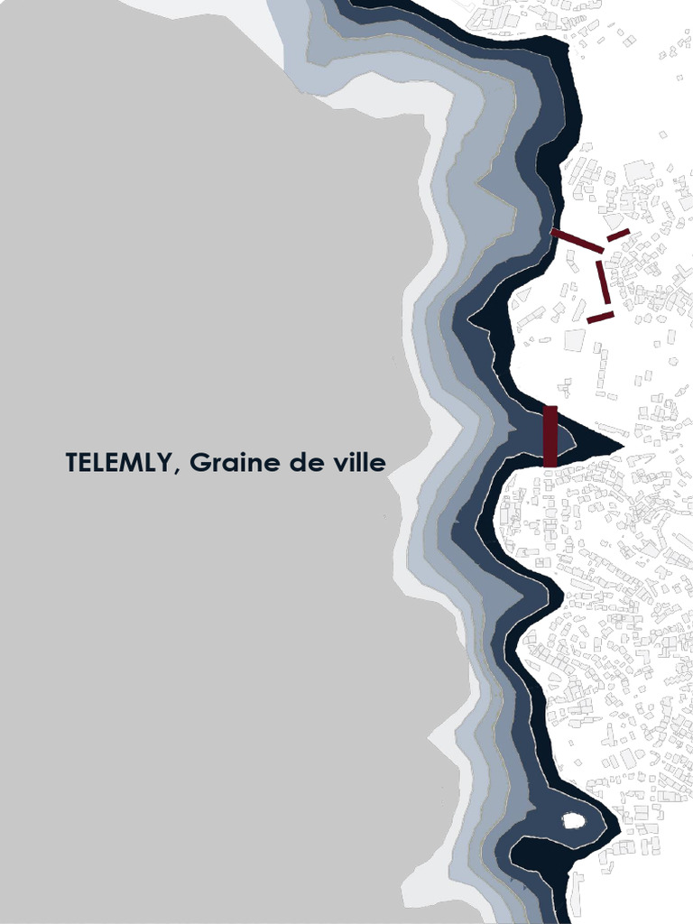 Telemly : Revitalisation Urbaine et Patrimoine | PDF | Alger | Autobus