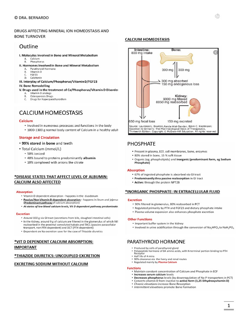 Drugs Affecting Mineral Ion Homeostasis and Bone Turnover | PDF