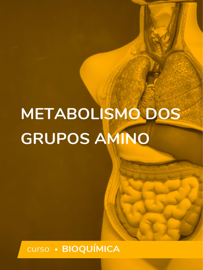 5f6e37a27c99d - Metabolismo Dos Grupos Amino | PDF | Aminoácido ...