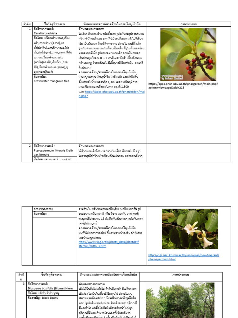 Plant Info | PDF
