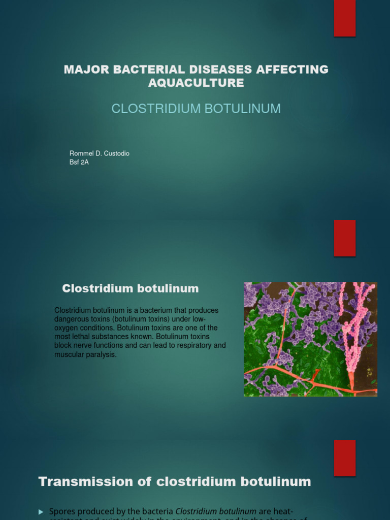 Aquarium Water Quality And Bacterial Disease preview
