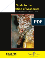 Seahorse ID Guide 2004