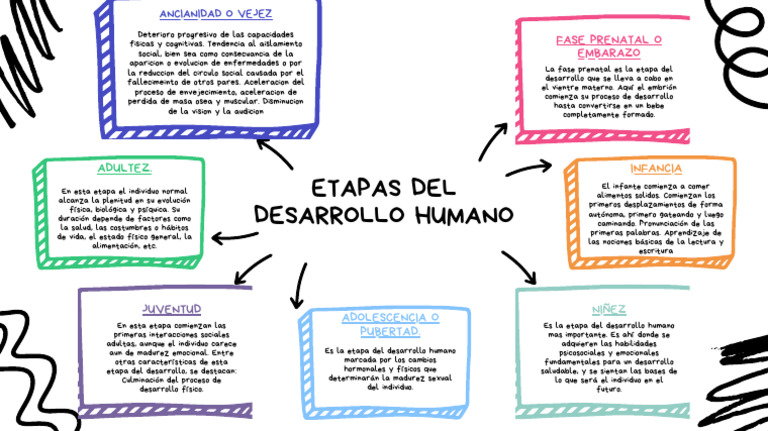 Etapas Del Desarrollo Humano | PDF | Vejez | Adultos