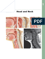Section 1: Head and Neck