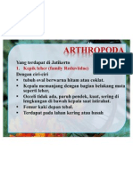 ARTHROPODAbarudesain