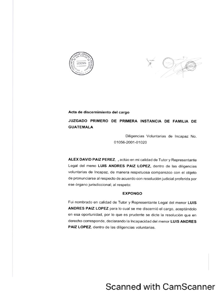 Intestados para Incapaz | PDF